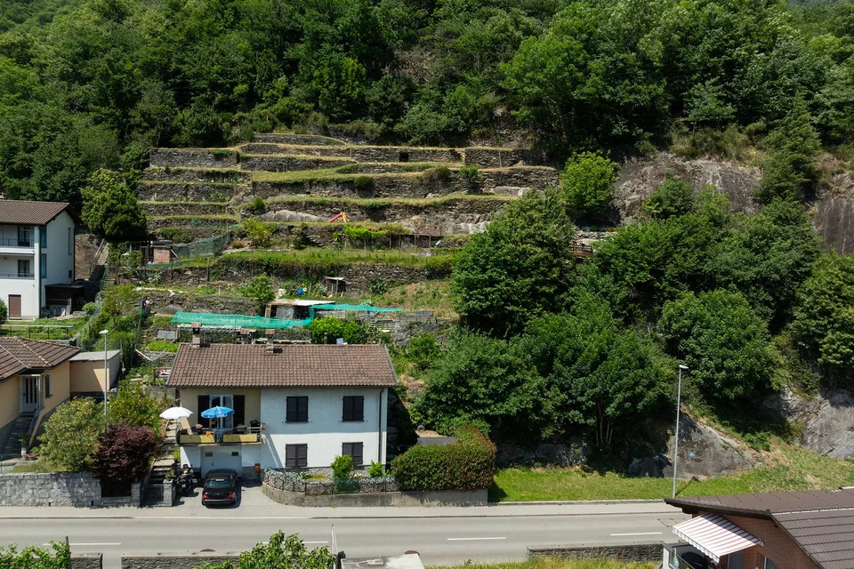 Terreno con vista su Bellinzona