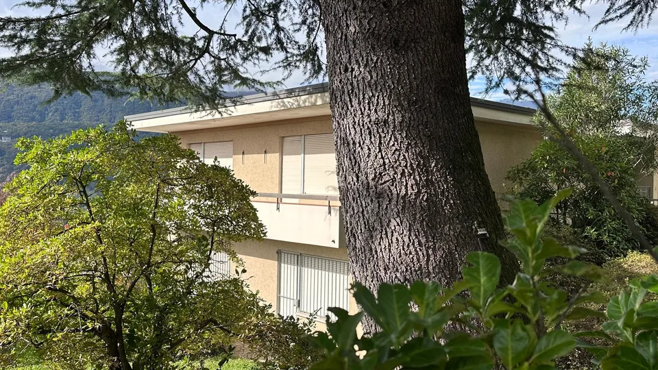 LUGANO - VEZIA - Ampia villa indipendente di 320 mq con bellissimo giardino, zona residenziale – foto 10 di 26