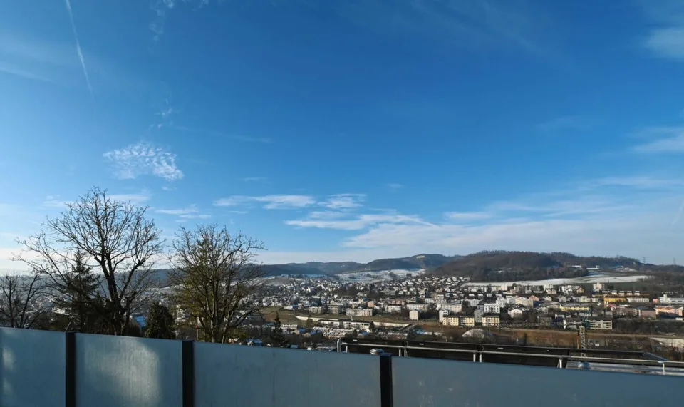 Exclusive 6.5 room single-family house with a far-reaching view
