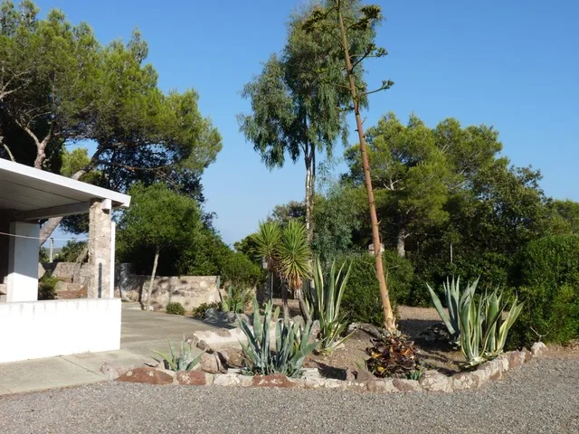 Villetta con Dépendance e Ampio Terreno a Carloforte, Sardegna – Foto 6 von 14
