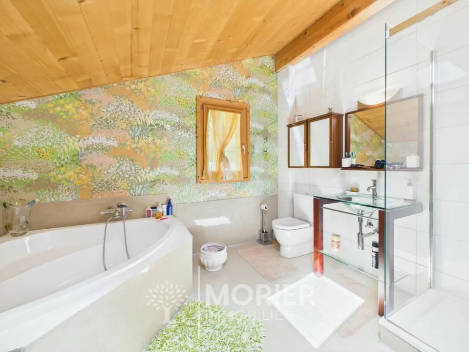 Beautiful chalet in Rossinière
