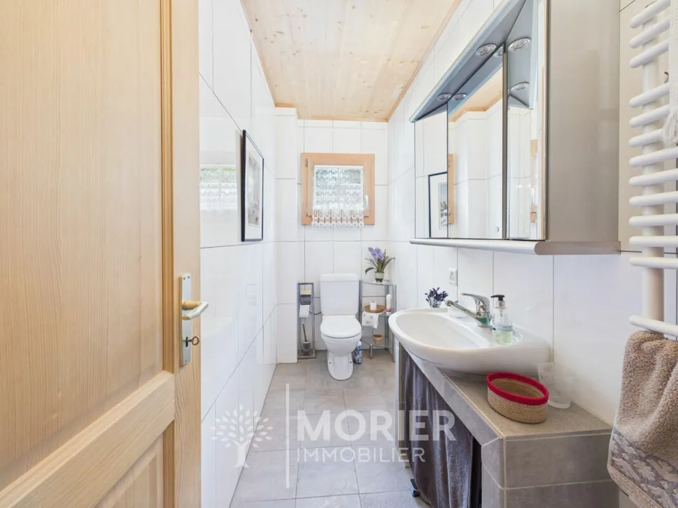 Beautiful chalet in Rossinière