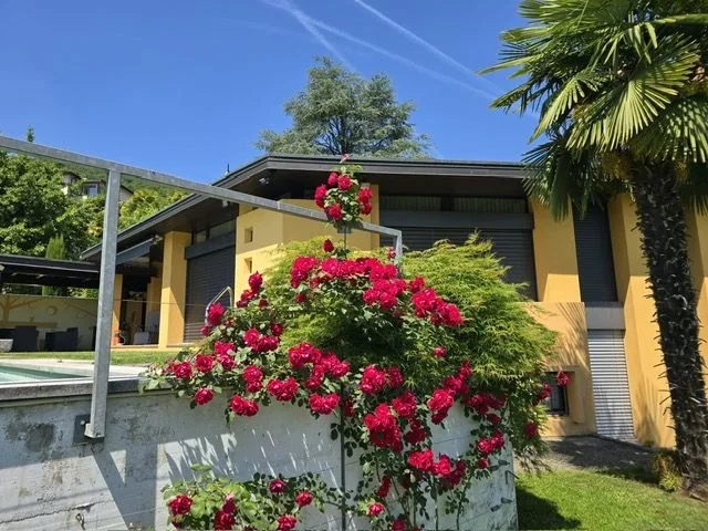 Exklusive Villa mit Pool und Garten im Grünen Herzen von Lugano - Pura – Foto 6 von 13