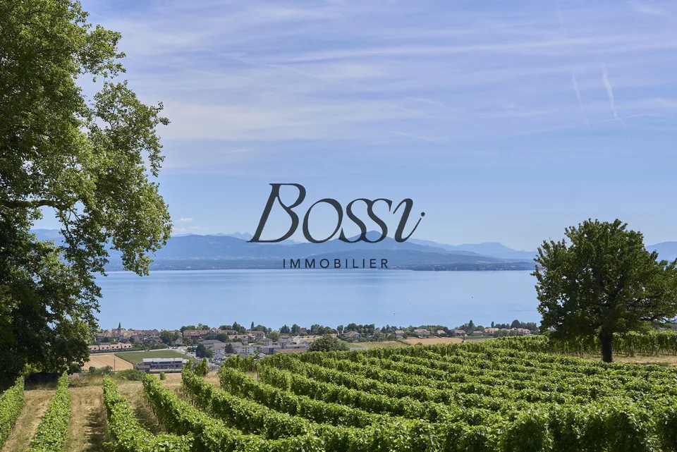 Un belvédère contemporain face au Léman