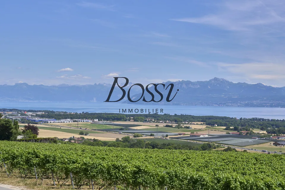 Un belvédère contemporain face au Léman