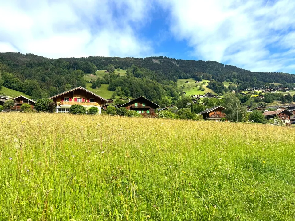 Terrain à bâtir de 972 m² à Val-d'Illiez