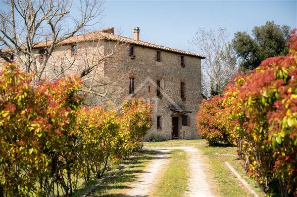 Pise : Ferme de 10 pièces – photo 7 sur 13