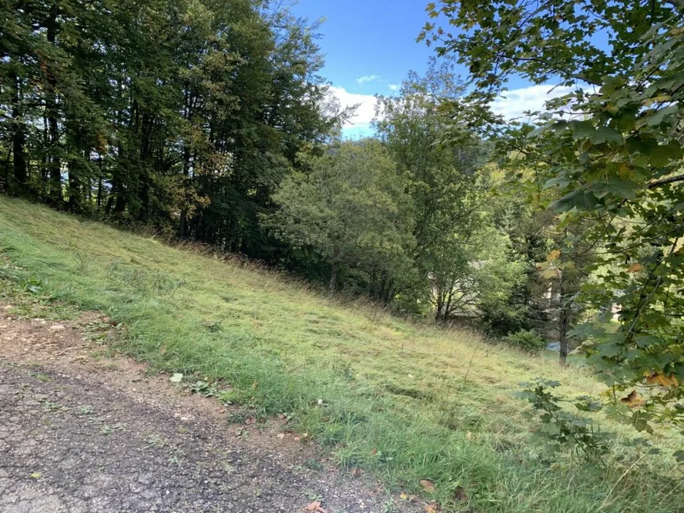 Terrain à St-Cergue