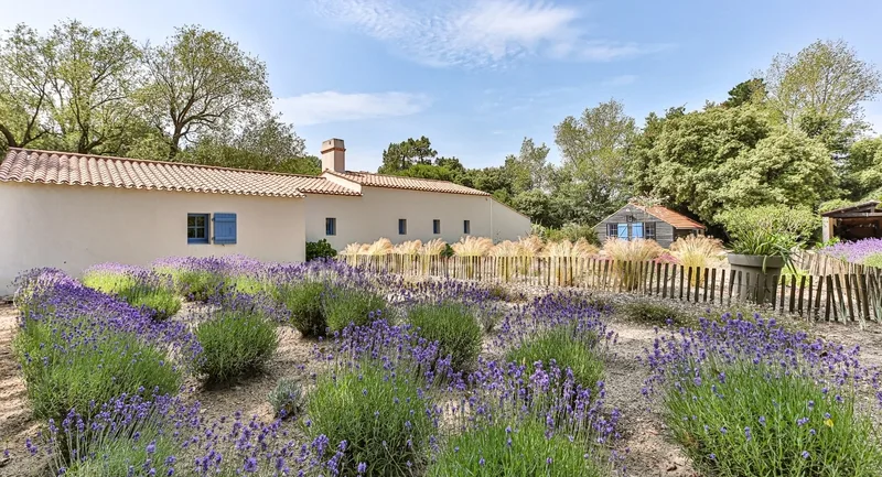 PROPRIETA' DI CHARME - VENDEE