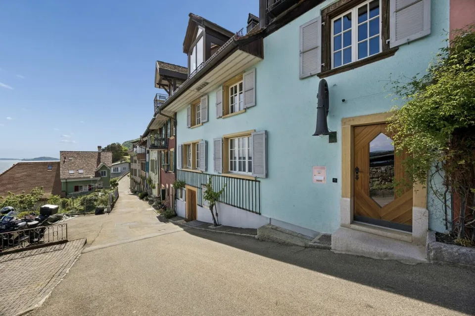 Domaine historique avec vignes et vue imprenable sur le lac
