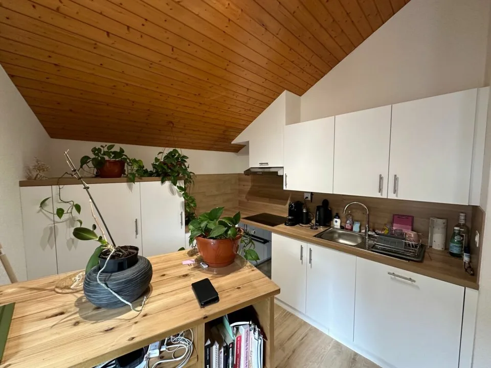 Vex - Charming 3.5 room attic apartment renovated in the heart of the village