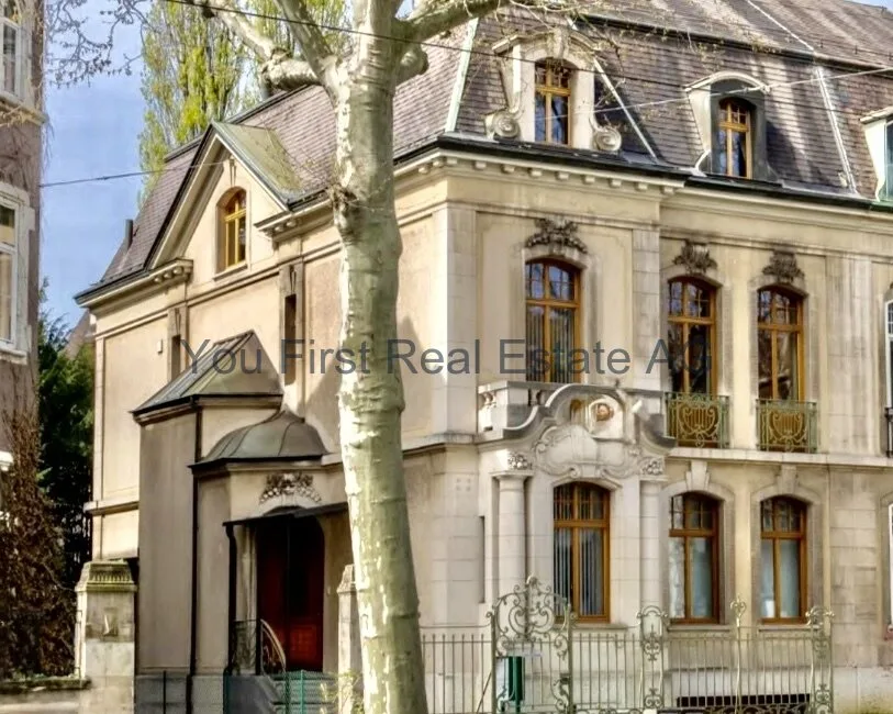 Maison de rêve pour toute la famille, élégante et moderne à Bâle