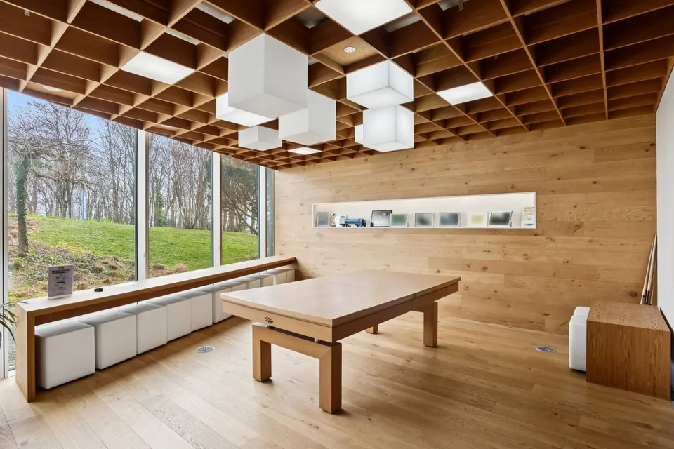 Oberfläche von 680 m² mit privater Terrasse von 175 m² – zahlreiche mögliche Nutzungen – Foto 7 von 11
