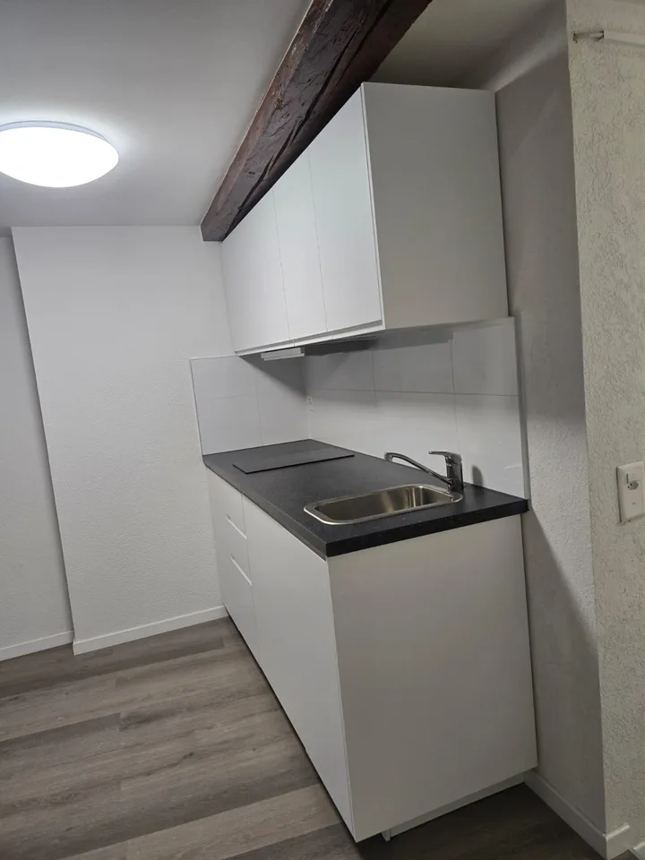 Sehr schönes 1-Zimmer-Apartment renoviert ** 1. Vermietung **