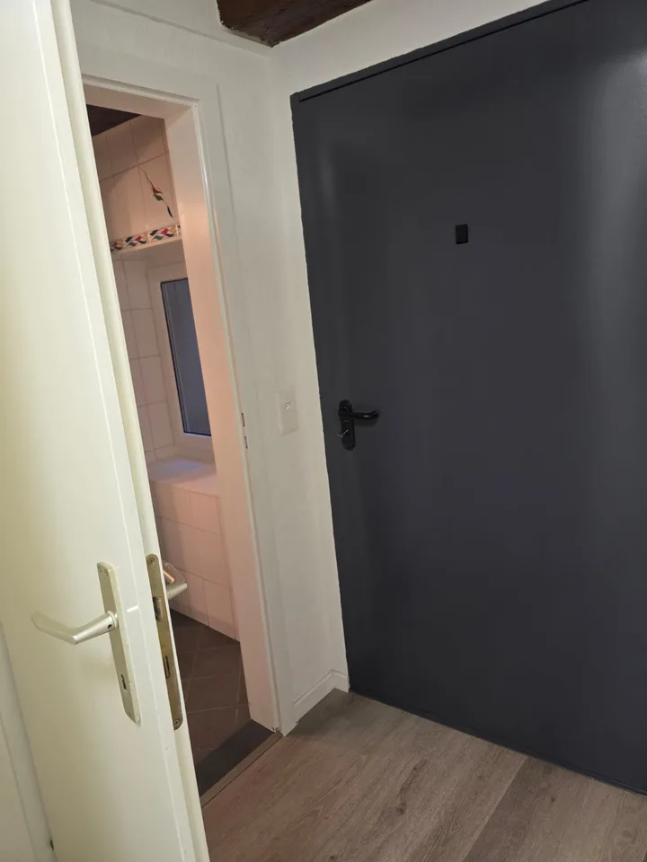 Très joli appartement 1 pièce rénové ** 1ère location ** – photo 9 sur 9