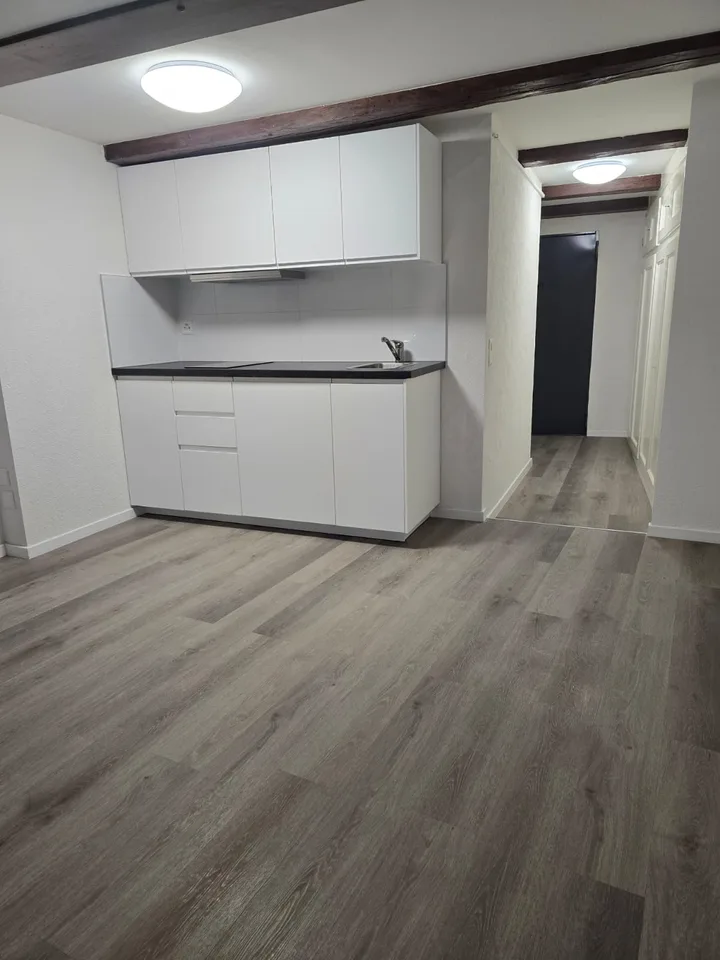 Très joli appartement 1 pièce rénové  ** 1ère location **