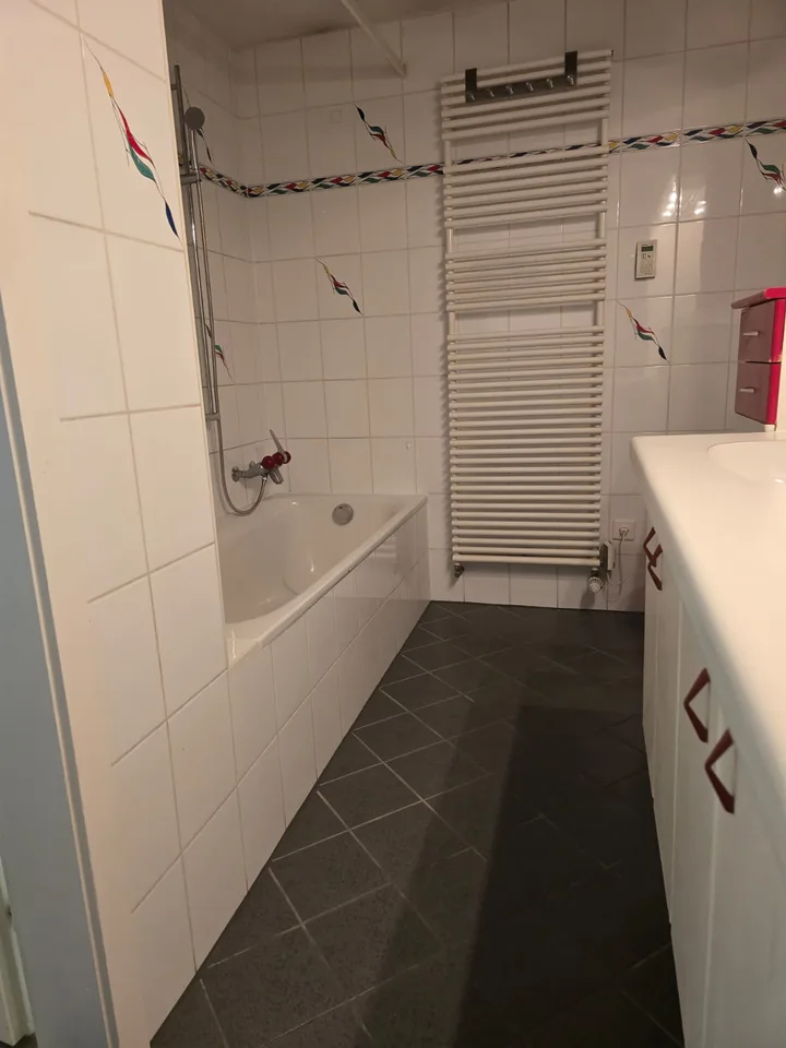 Très joli appartement 1 pièce rénové ** 1ère location ** – photo 7 sur 9