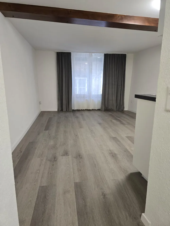 Sehr schönes 1-Zimmer-Apartment renoviert ** 1. Vermietung **