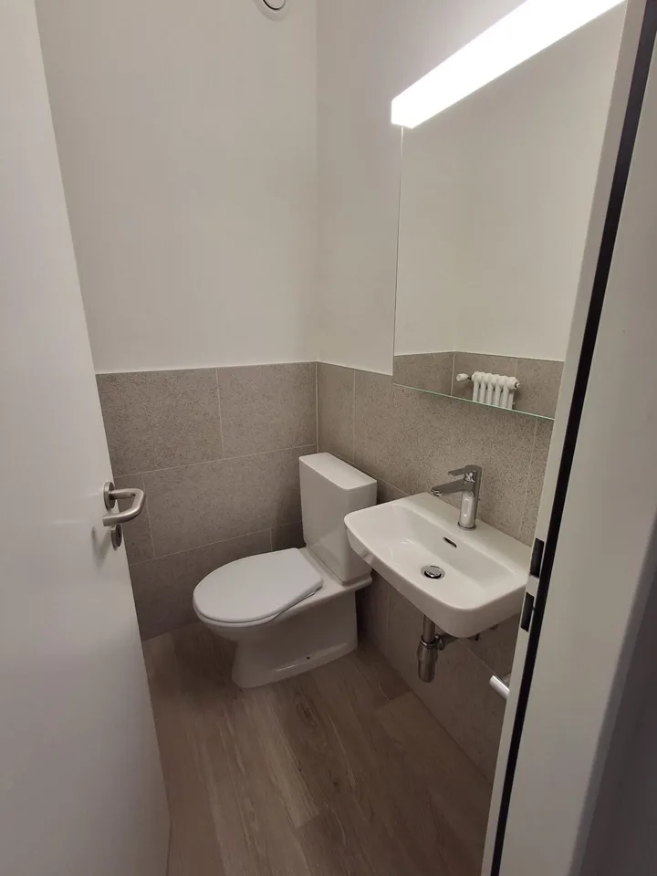 AFFITTASI 4.5 LOCALI ATTICO COMPLETAMENTE RISTRUTTURATO A LUGANO – foto 14 di 20