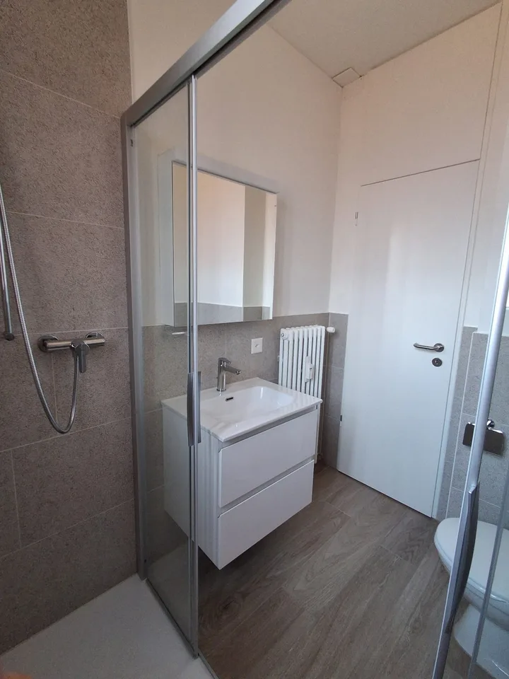 AFFITTASI 4.5 LOCALI ATTICO COMPLETAMENTE RISTRUTTURATO A LUGANO – foto 16 di 20