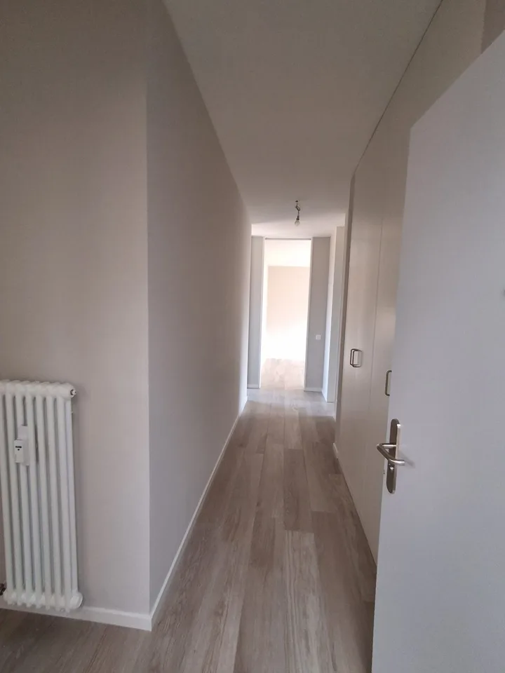 AFFITTASI 4.5 LOCALI ATTICO COMPLETAMENTE RISTRUTTURATO A LUGANO – foto 9 di 20