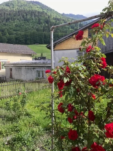 Maison mitoyenne de 4 pièces avec vue sur les montagnes à Schwanden GL