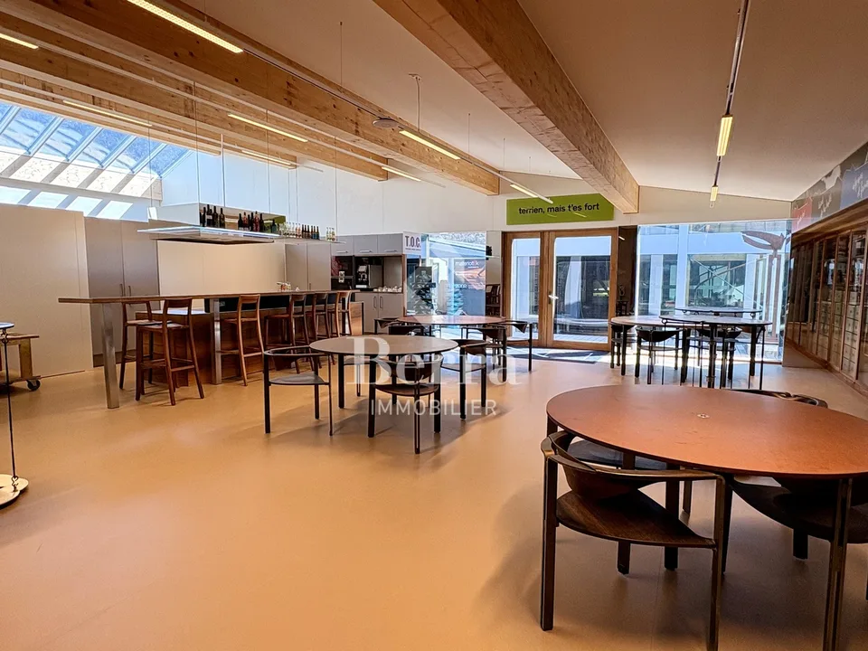 117 m² Neuware für Ihr Unternehmen - Strategische Lage in Martigny