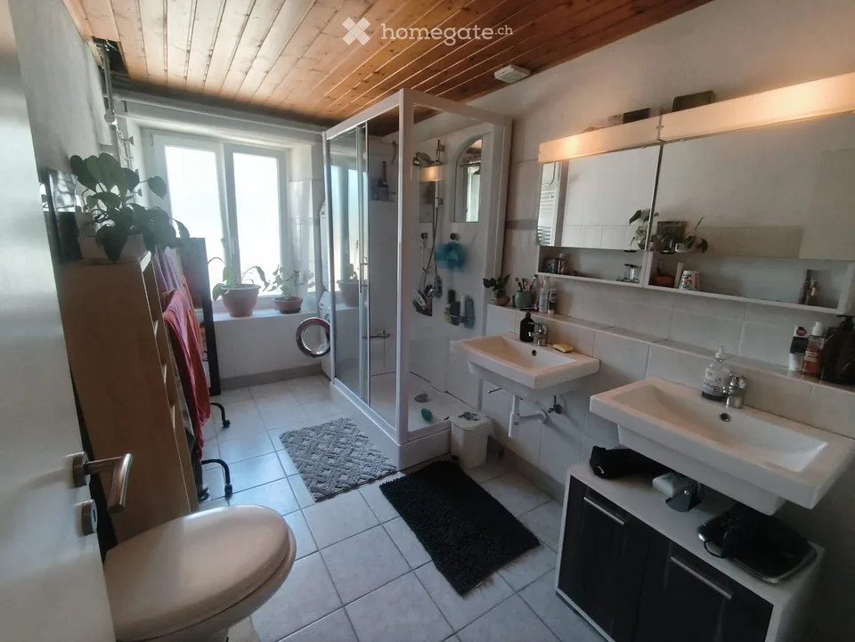 grand appartement 5,5 pièces