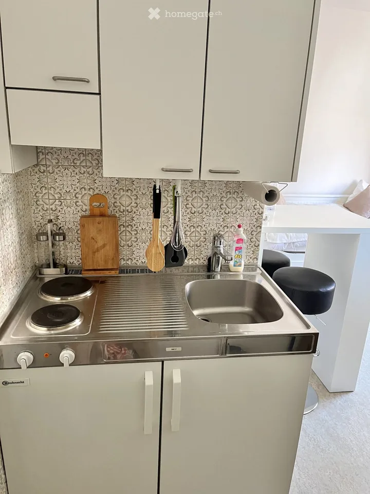 Wohnung am Zürichberg befristet 16.08-13.09.2026