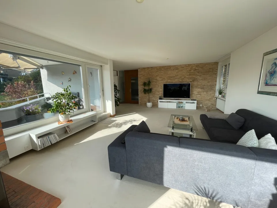 Appartement de terrasse exclusif avec vue imprenable sur Adliswil