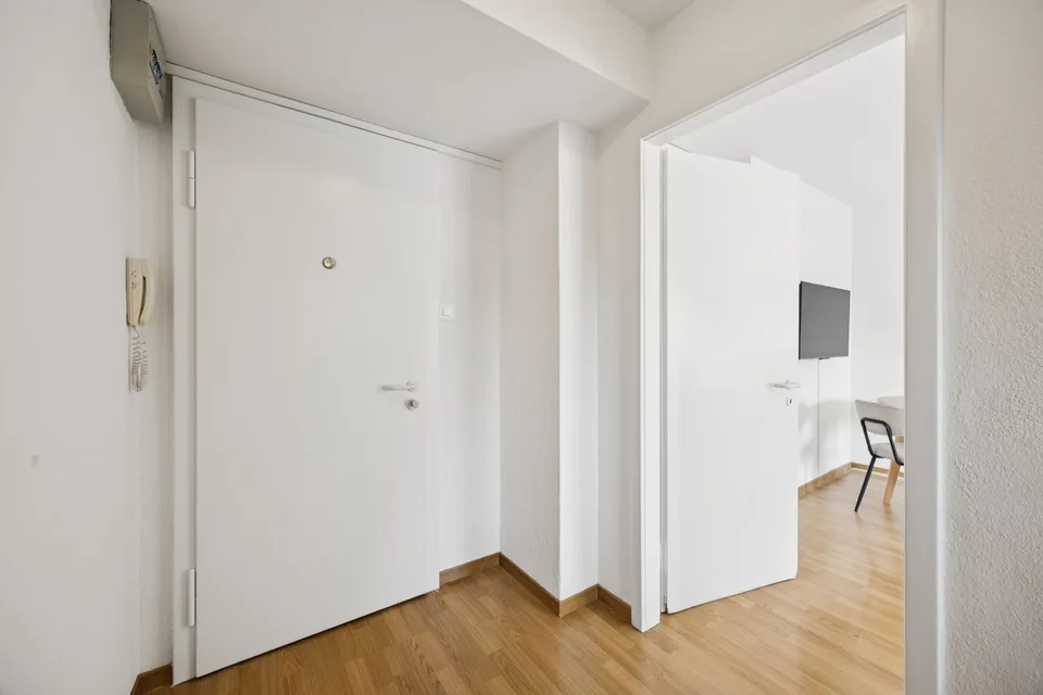 Studio arredato accogliente nel centro di Zurigo – foto 6 di 13