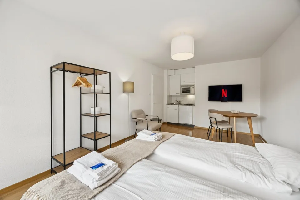 Cozy Furnished Studio in Central Zürich