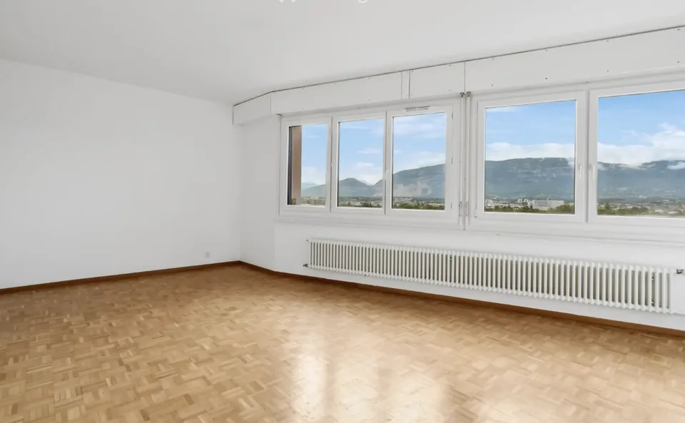 Grande duplex di 6 locali con vista panoramica a Onex