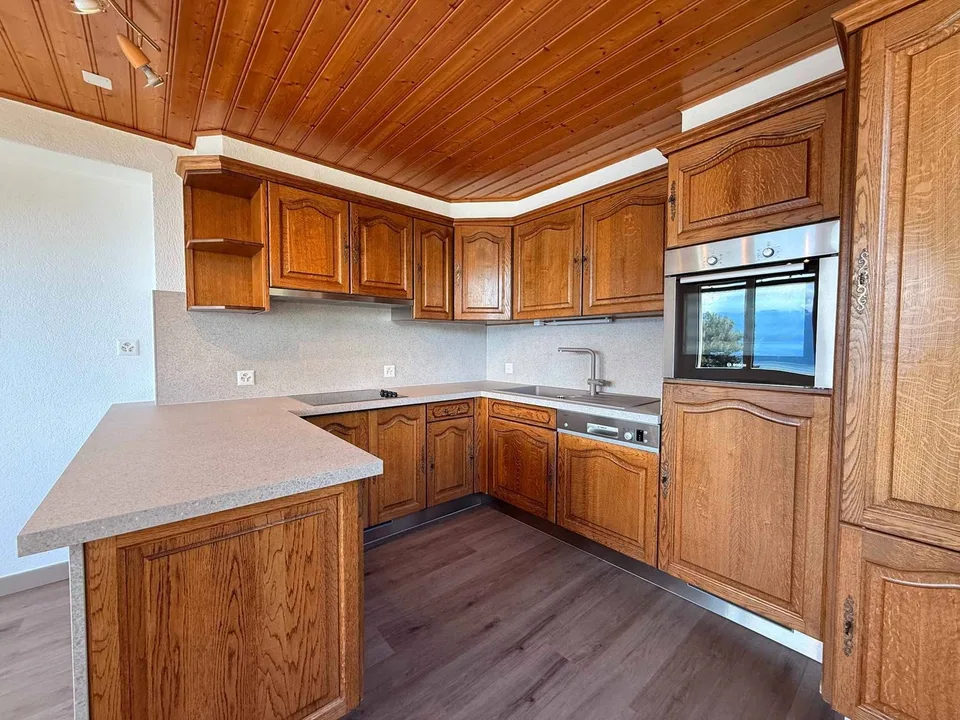 Charming 3.5 rooms with lake view