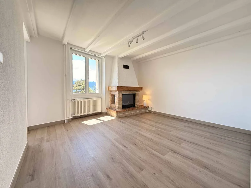 Charming 3.5 rooms with lake view
