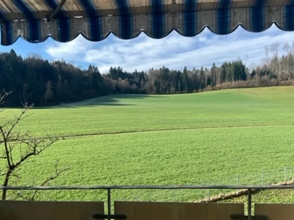 Charmante 3.5-Zimmer-Wohnung - stilvoll renoviert und mit Balkon in ruhiger Lage