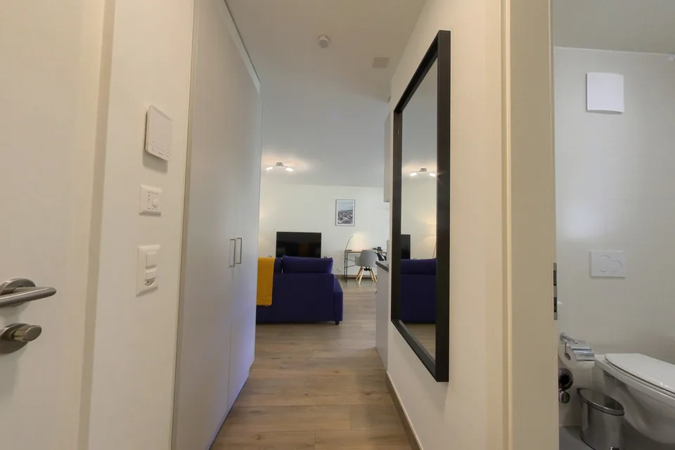Helles 1-Zimmer-Apartment mit Terrasse und Parkplatz, nahe Grünflächen – Foto 9 von 9