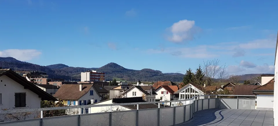 3 1/2 Zi-Attikawohnung mit ganztags besonnter Terrasse