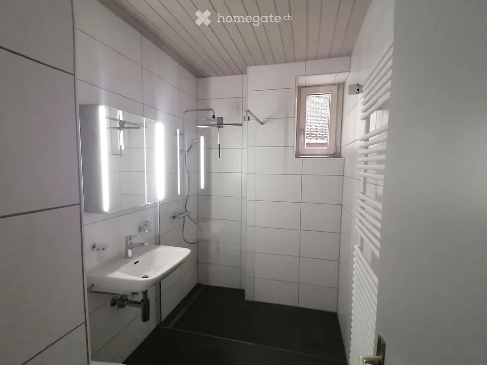 Apartment 3 1/2 rooms