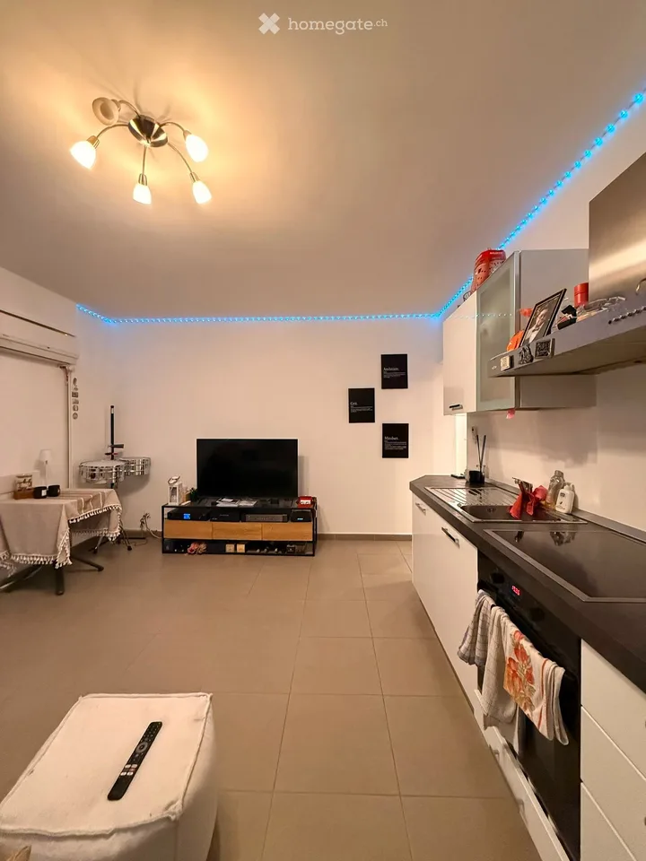 2.5 room furnished apartment