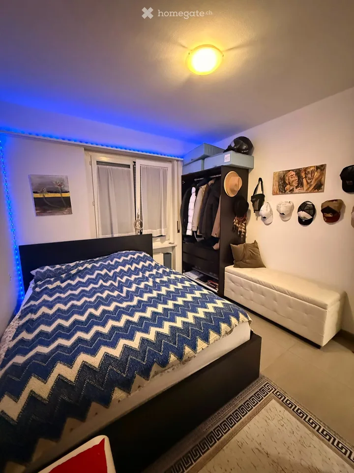 2.5 room furnished apartment