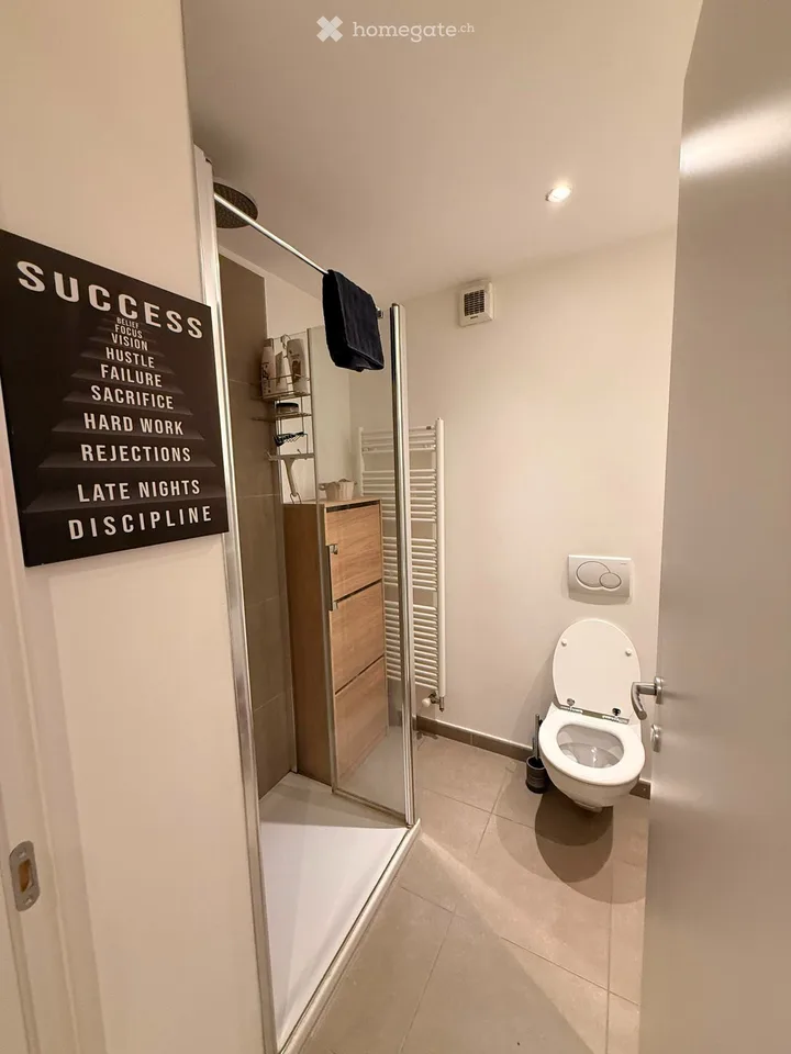 2.5 room furnished apartment