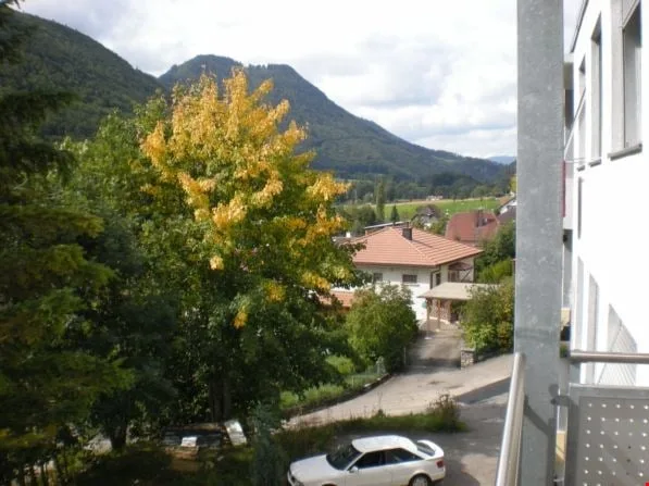 Wohnung renoviert und hell mit ** GROßER TERRASSE **