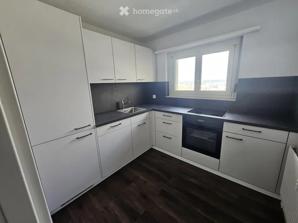 Apartment in Ebikon
