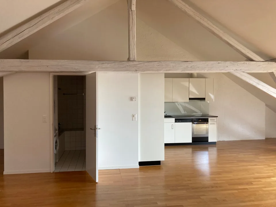 Solothurn, appartamento loft spazioso
