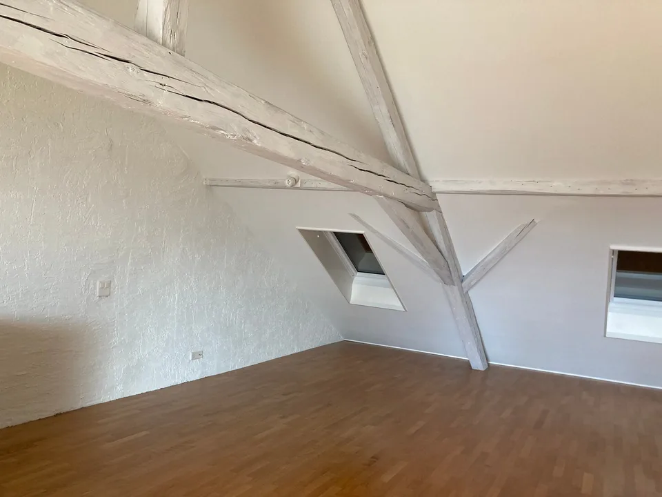 Solothurn, grosszügige Loftwohnung – Foto 9 von 13