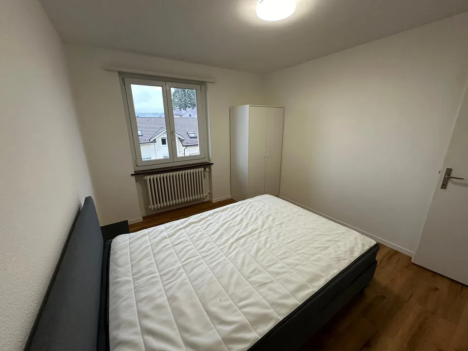 3.5 Room Apartment in Horgen