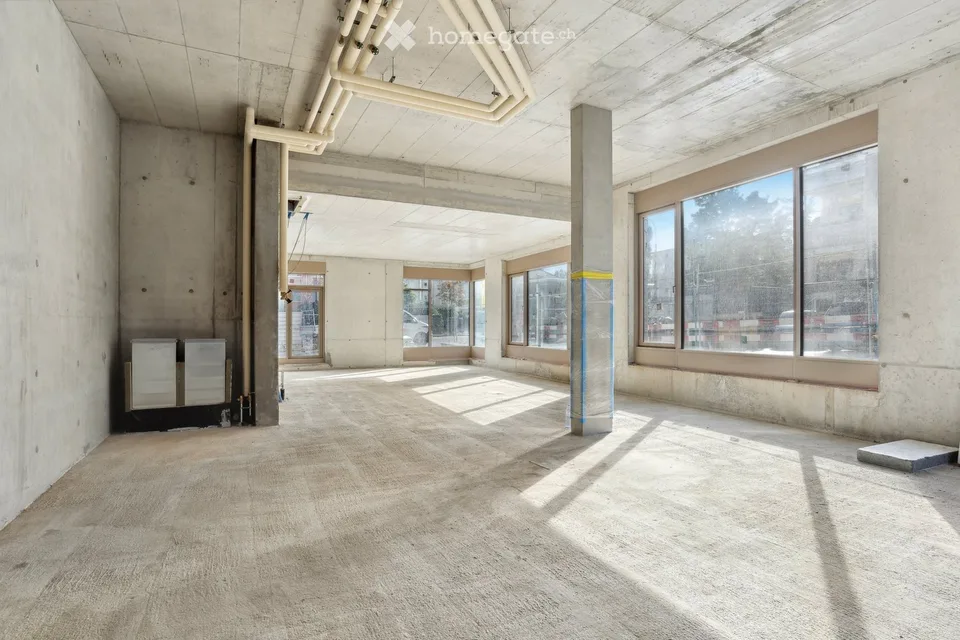 Activity area in the new Plaines-du-Loup Eco-district (Lausanne)