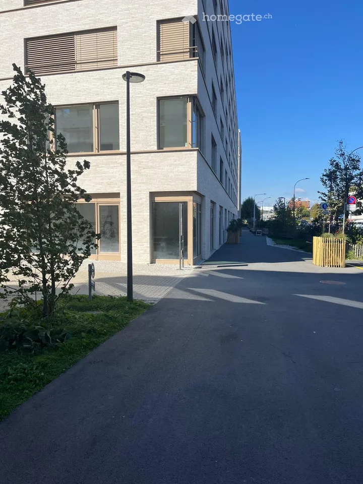 Activity area in the new Plaines-du-Loup Eco-district (Lausanne)