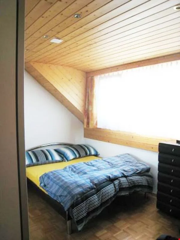 Beautiful, cozy, and very appealing attic apartment